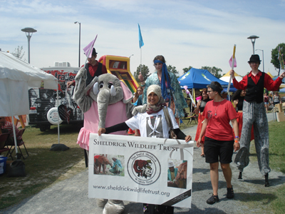 Riaz in Elephant suit (yes its him! ) seeking Canadian support against Ivory Poaching in Africa